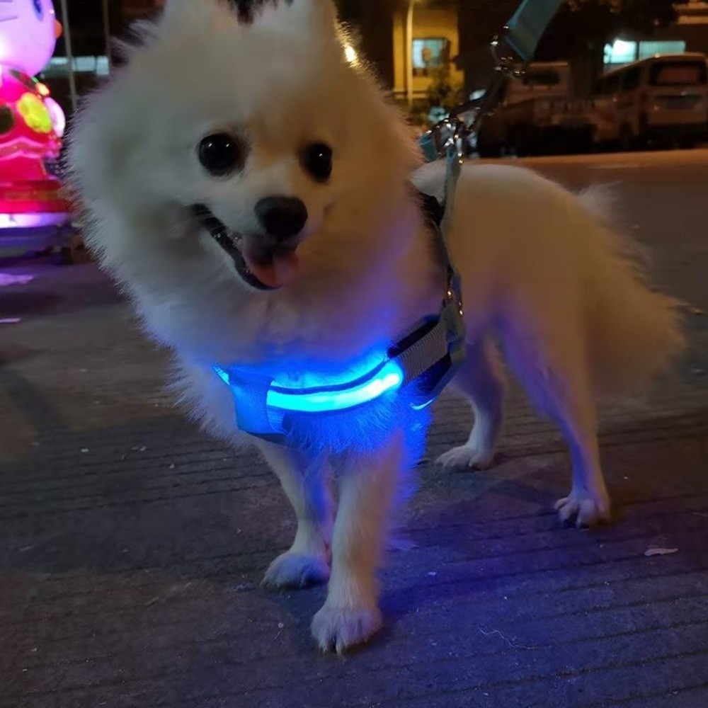 Tech Dog Accessories - Atmungsaktives LED-Hundegeschirr mit Lichteffekt, wiederaufladbar, blinkend,