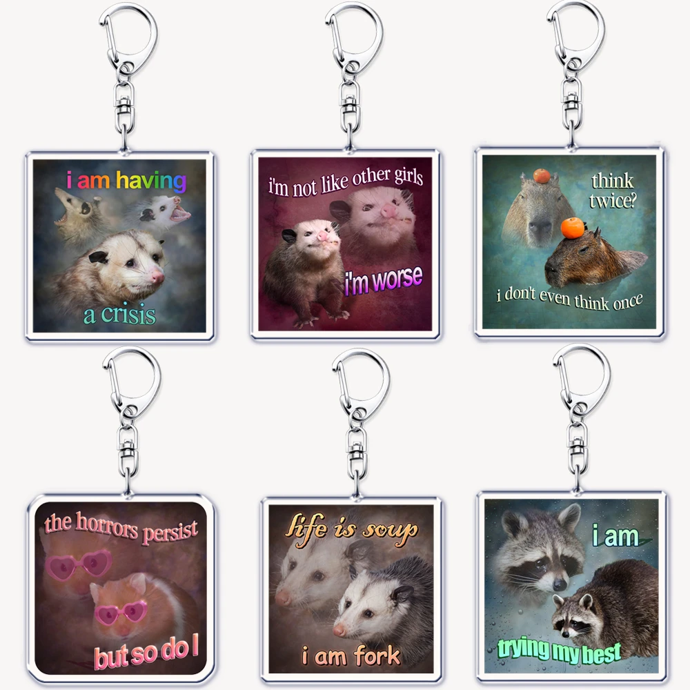 Tech Accessories Bag - Lustiger Possum Hamster Waschbär Katze Meme