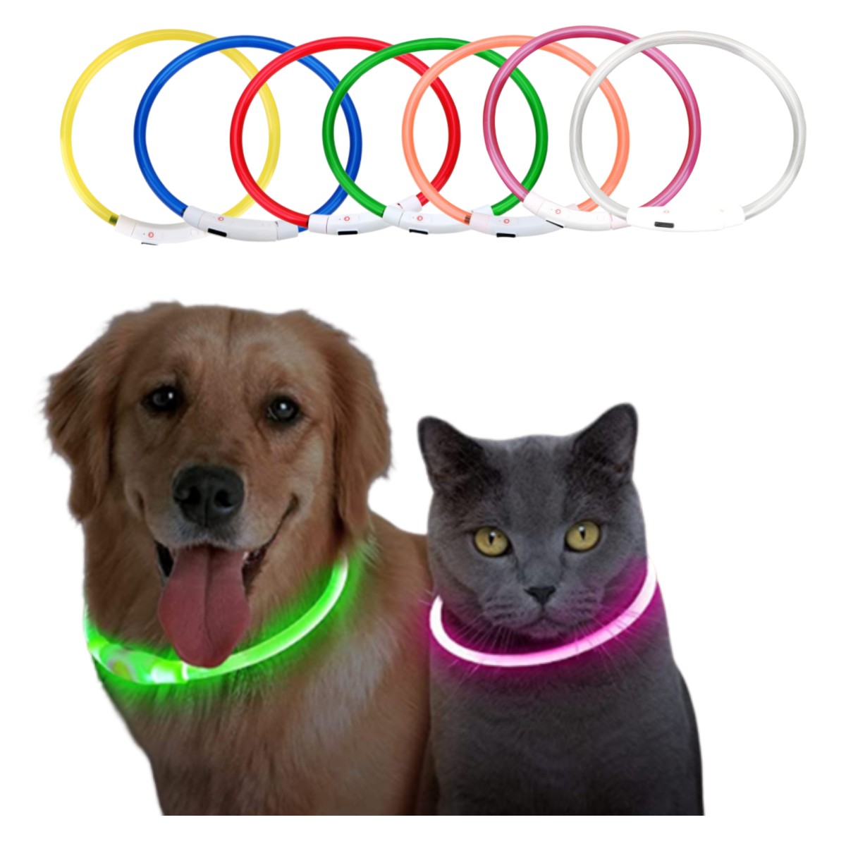 Tech Dog Accessories - LED-Licht-Hundehalsband, abnehmbar, leuchtend, USB-Aufladung, leuchtende Leine