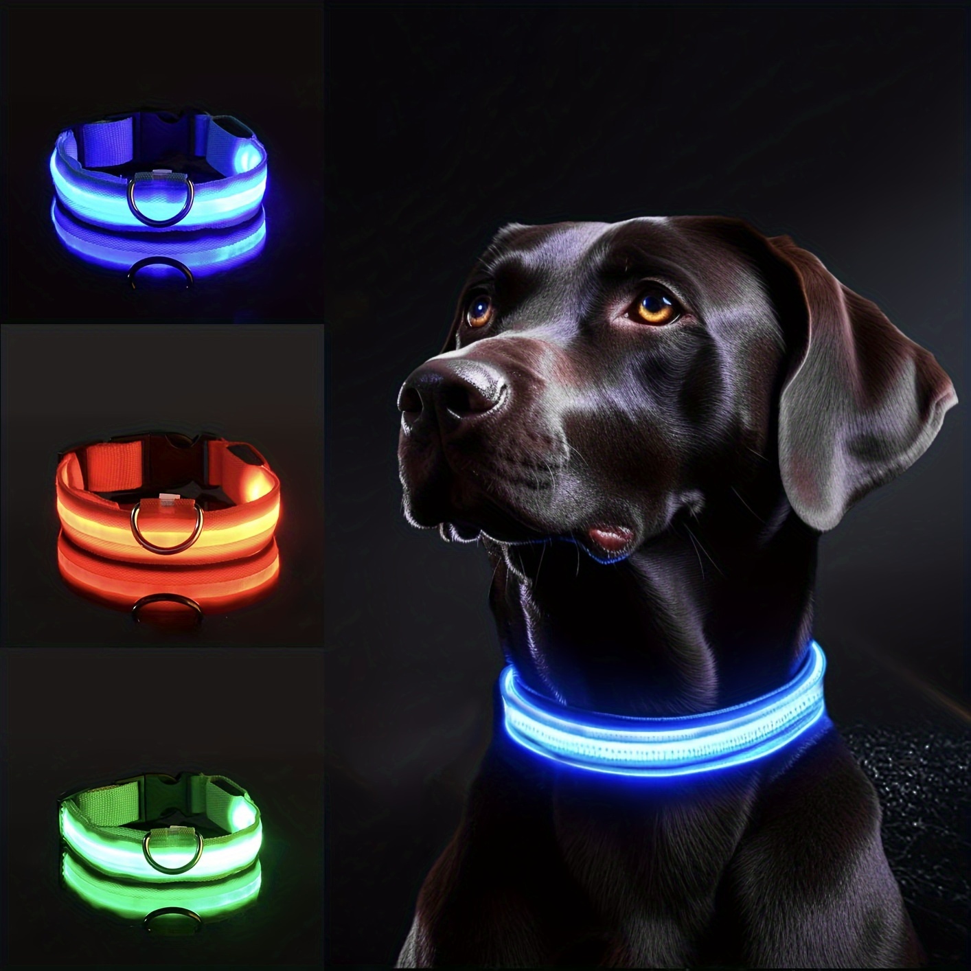 Tech Dog Accessories - Reflektierendes LED-Hundehalsband für Nachtsicherheit – langlebig,