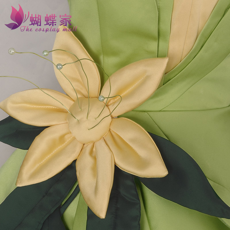 Prinzessin Tiana Kleid Cosplay – Tech Accessories Women Bewertung und Preis