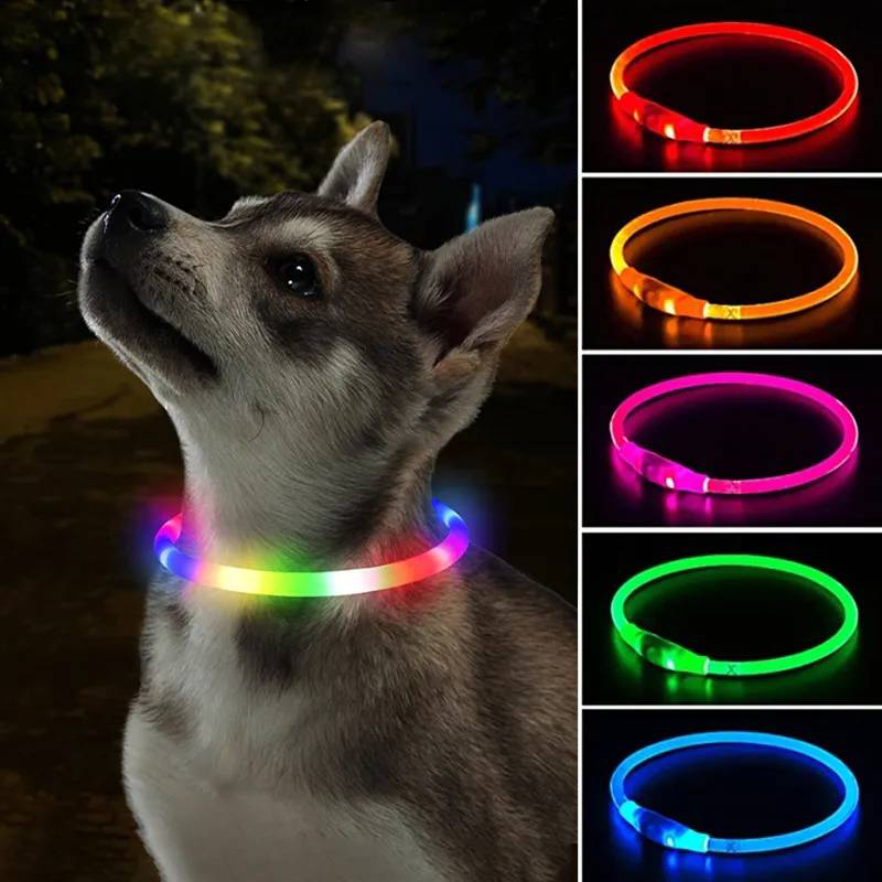 3-Modi Hund Luminou Charge Kra – Tech Dog Accessories Bewertung und Preis