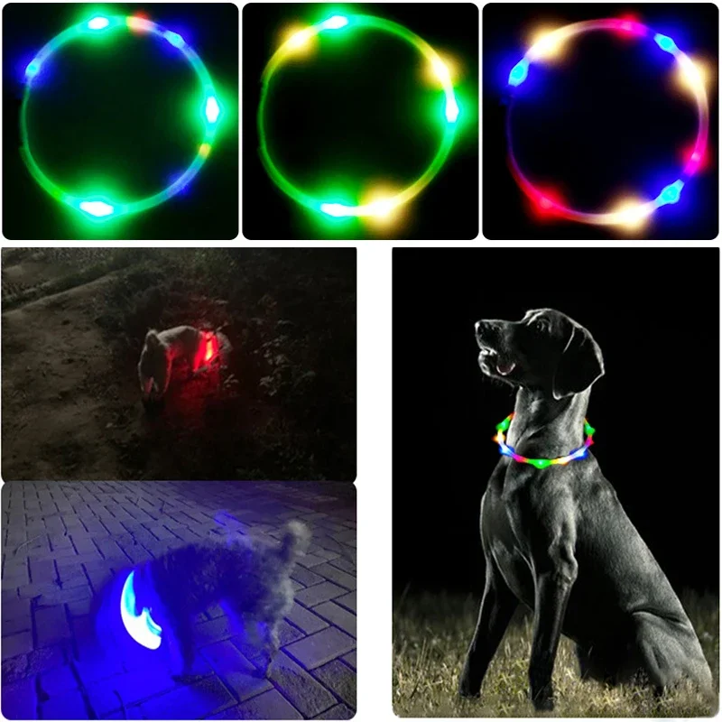 3-Modi Hund Luminou Charge Kra – Tech Dog Accessories Bewertung und Preis