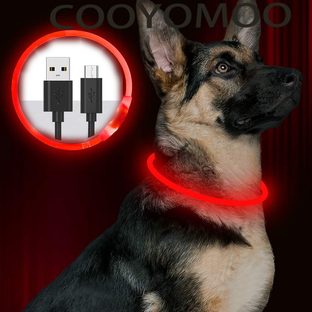 Silikon-LED-Hundehalsband, wie – Tech Dog Accessories Bewertung und Preis