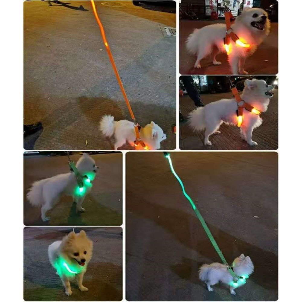 Atmungsaktives LED-Hundegeschi – Tech Dog Accessories Bewertung und Preis