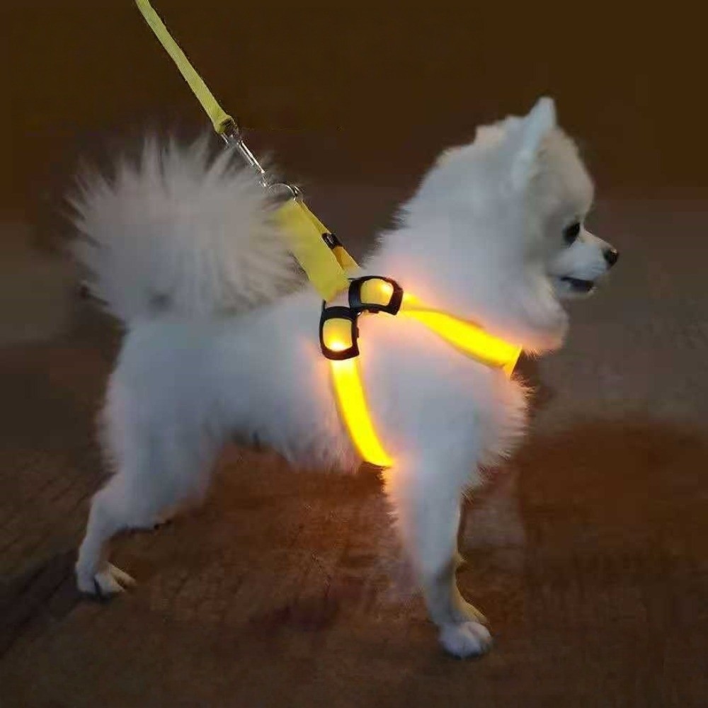 Atmungsaktives LED-Hundegeschi – Tech Dog Accessories Bewertung und Preis