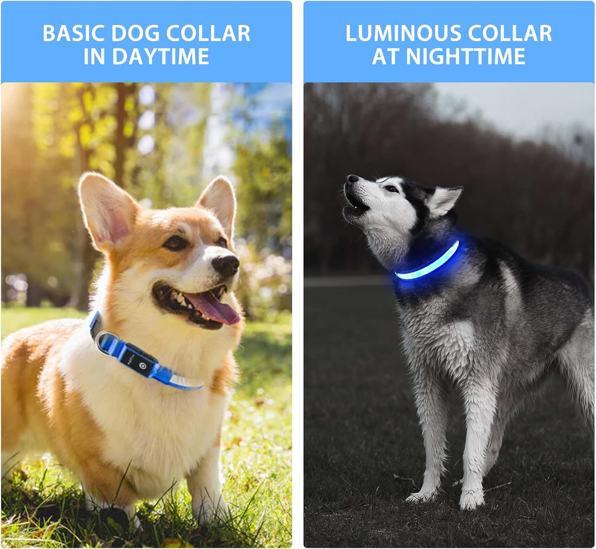 USB-LED-Hundehalsband-Leuchten – Tech Dog Accessories Bewertung und Preis