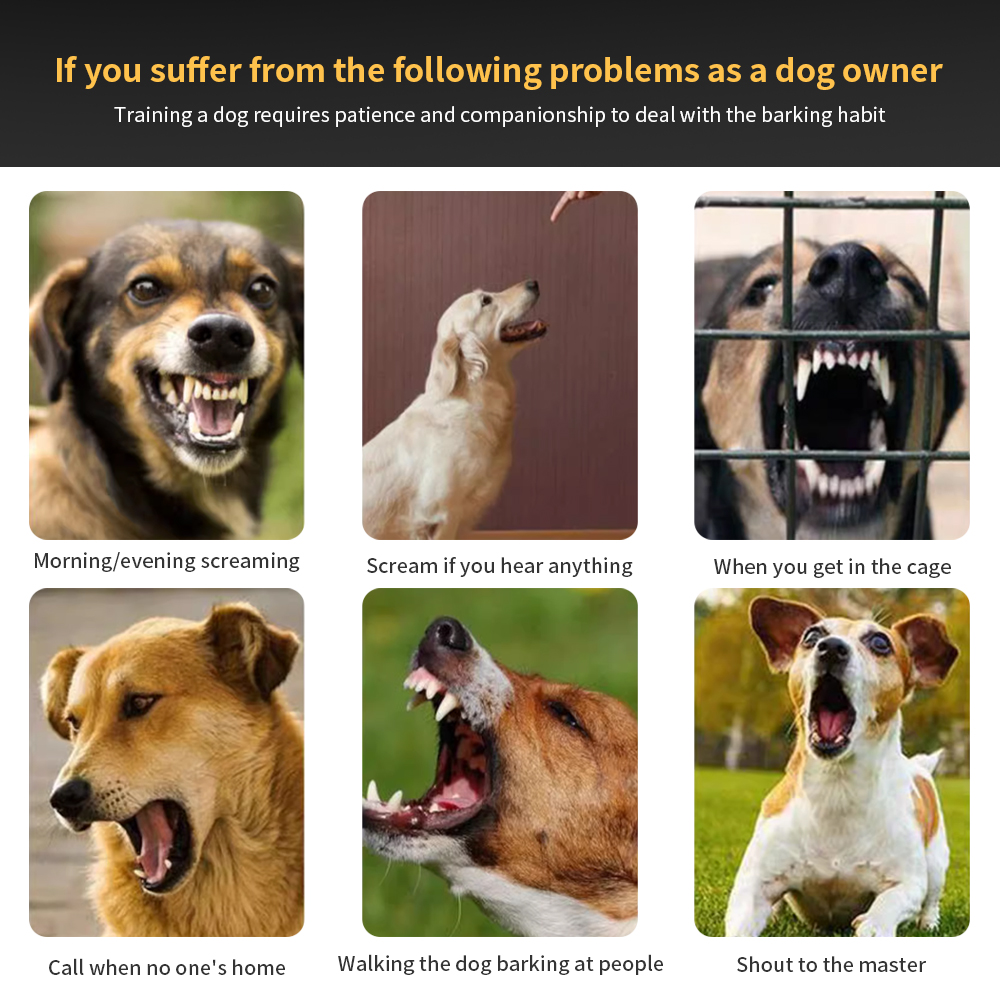 Anti-Bell-Hundehalsband mit El – Tech Dog Accessories Bewertung und Preis