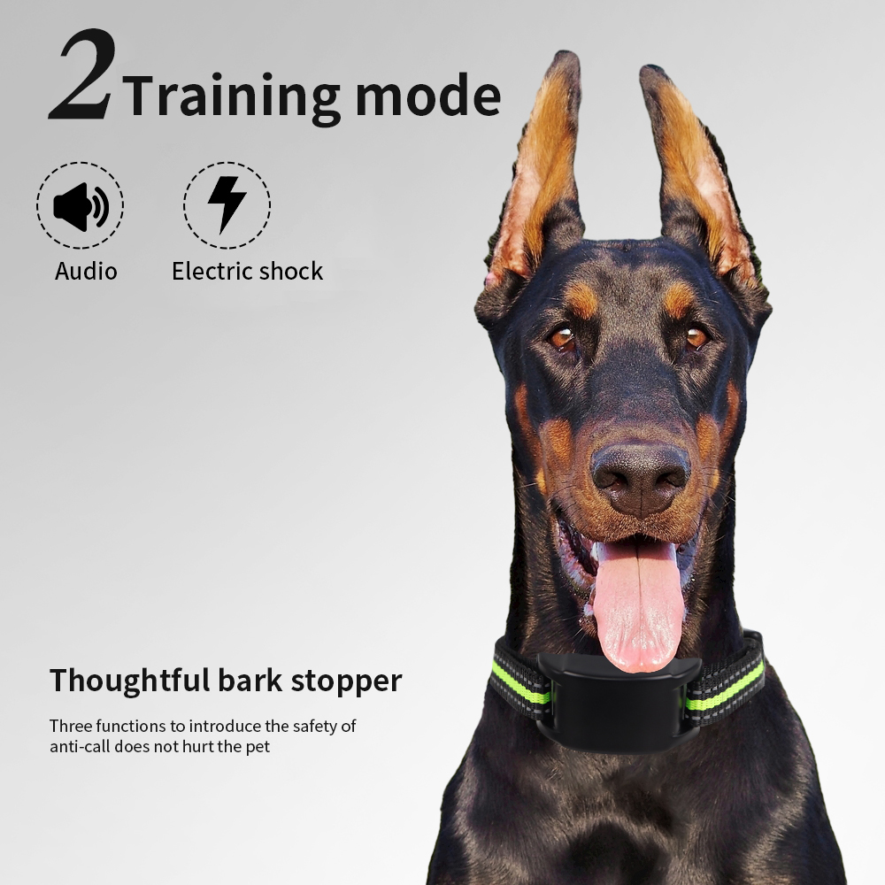 Anti-Bell-Hundehalsband mit El – Tech Dog Accessories Bewertung und Preis