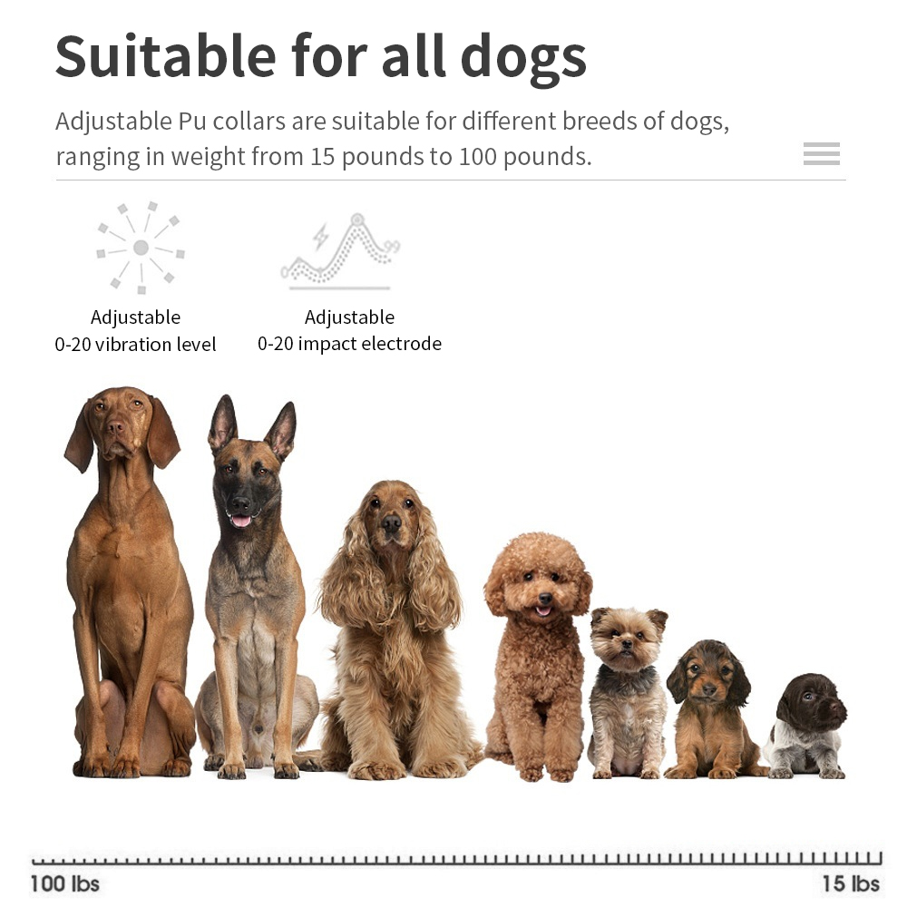 Anti-Bell-Hundehalsband mit El – Tech Dog Accessories Bewertung und Preis