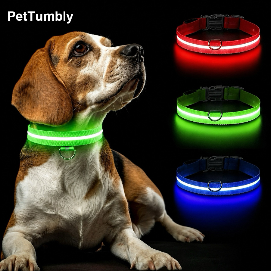 3-Modus Leuchtendes USB-Ladeha – Tech Dog Accessories Bewertung und Preis