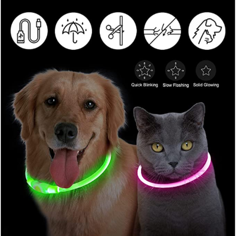 USB-Aufladbares Leuchtendes Ha – Tech Dog Accessories Bewertung und Preis