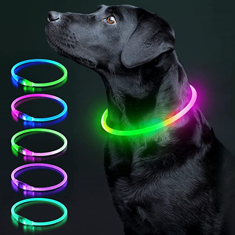 Leuchtendes Hundehalsband, Lic – Tech Dog Accessories Bewertung und Preis