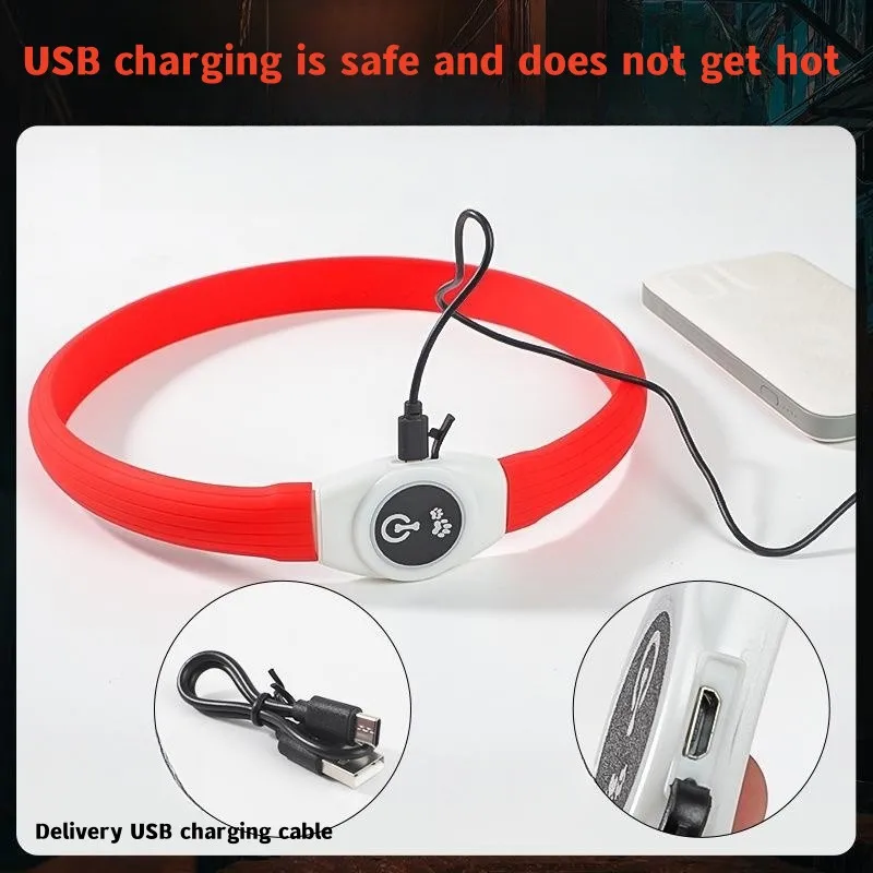 Neues LED-Leucht-Hundehalsband – Tech Dog Accessories Bewertung und Preis