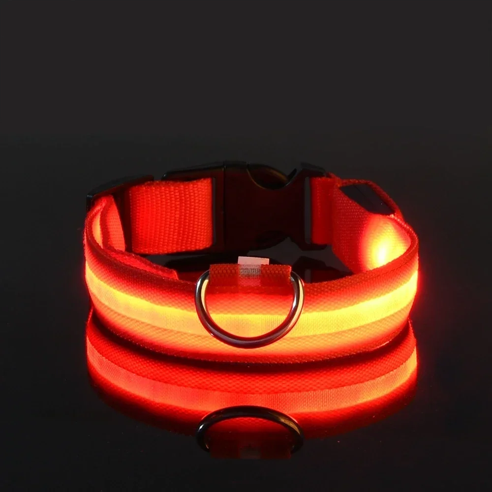 Hundehalsband Nylon LED Nacht- – Tech Dog Accessories Bewertung und Preis